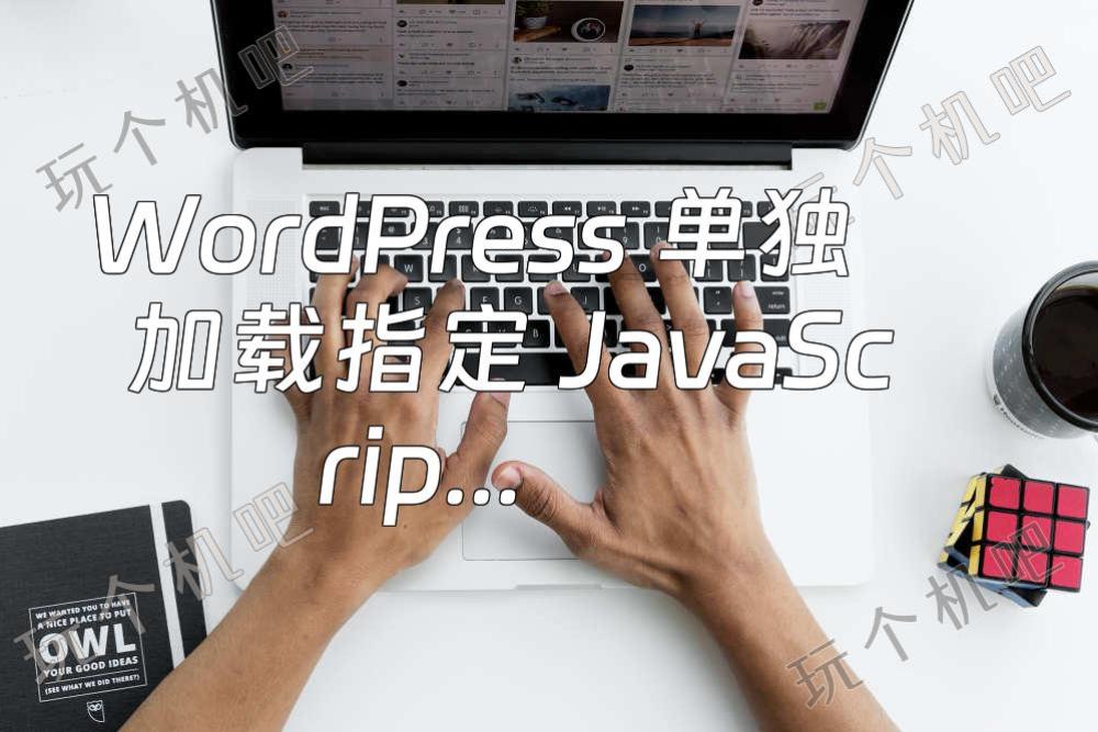 WordPress 单独加载指定 JavaScript 或 CSS 代码